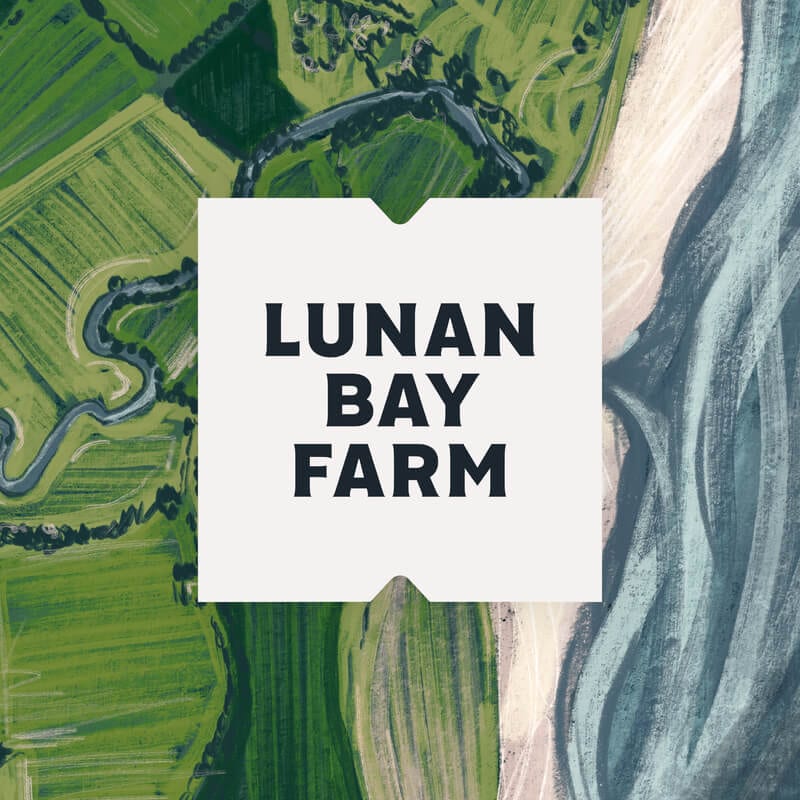 Siaban's Bunnet - Uist Cheviot & Lunan Farm Cashmere- Small Batch Scottish Yarn